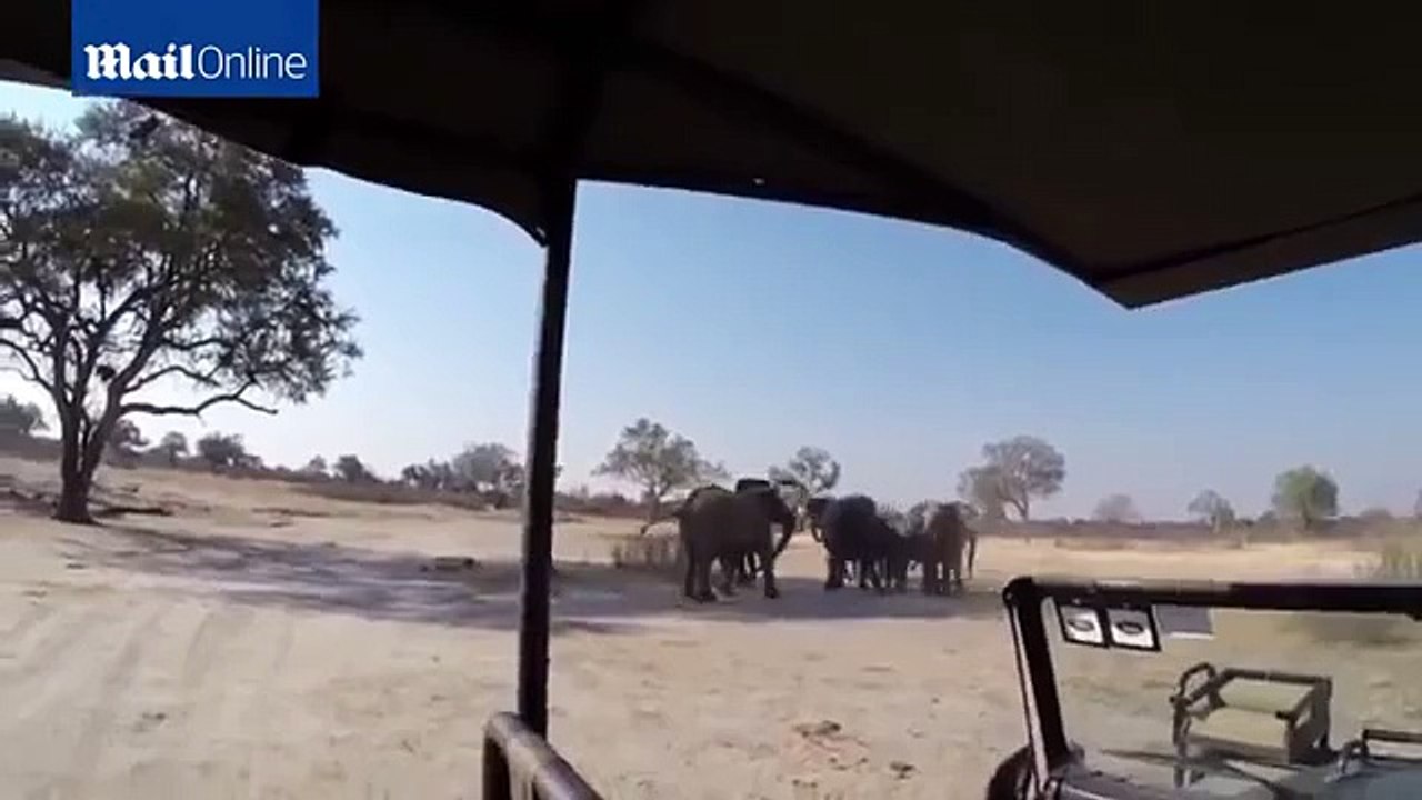 Moment elephant attacks safari truck, Hwange, Zimbabwe - video Dailymotion