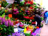 Holanda-Amsterdam-Mercado de  flores -Producciones Vicari (Juan Franco Lazzarini)