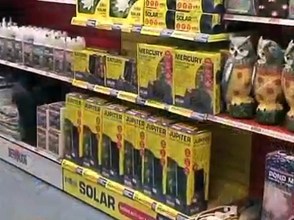 Bermuda Solar Pond Pumps available at Water Gardening Direct