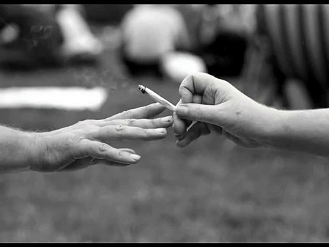 Gris - Kiff-Kiff Hurra :D