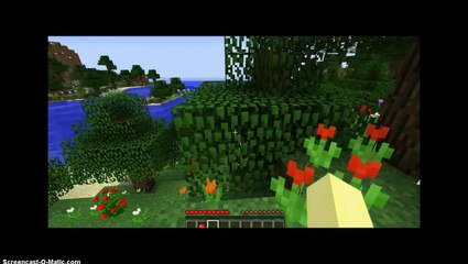 Fluttershy plays minecraft