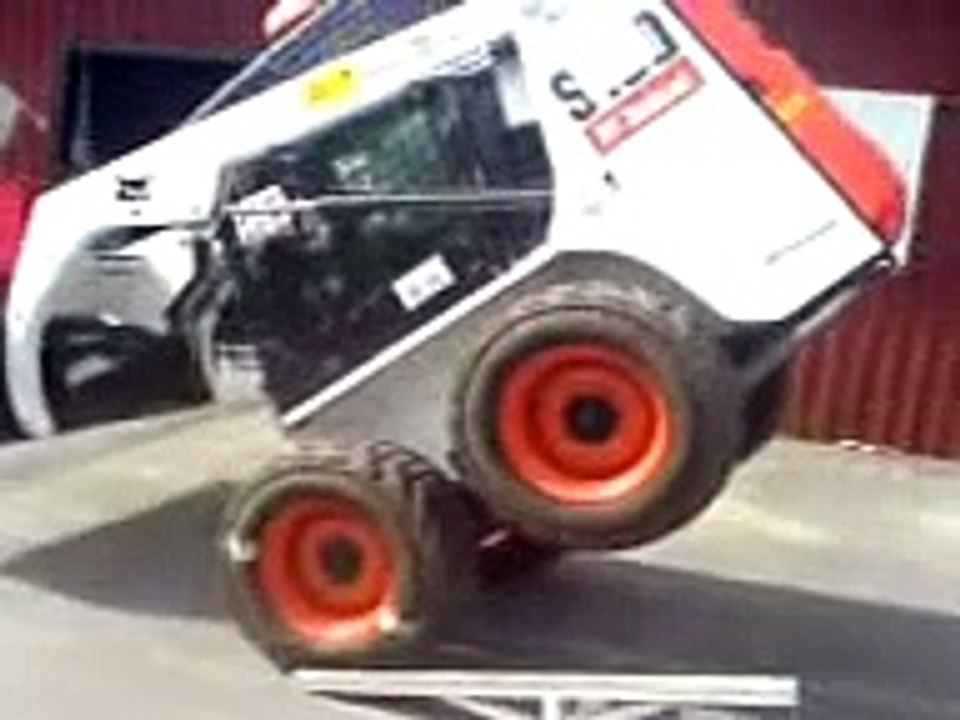 Bobcat
