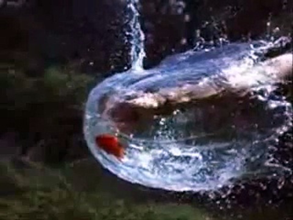 gun shot in slow motion