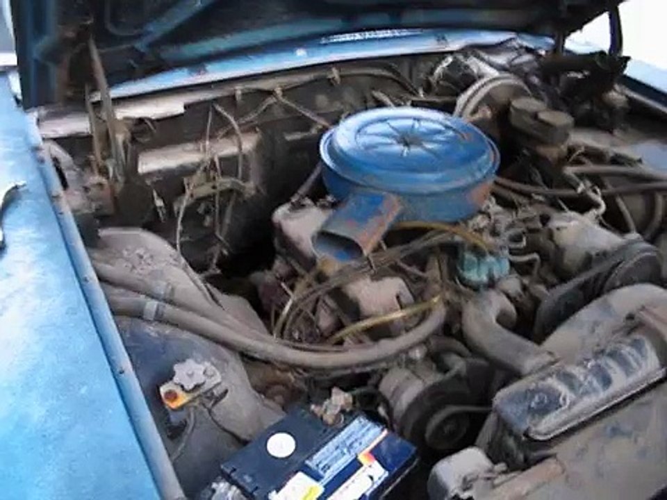 V8 302 ressucitando