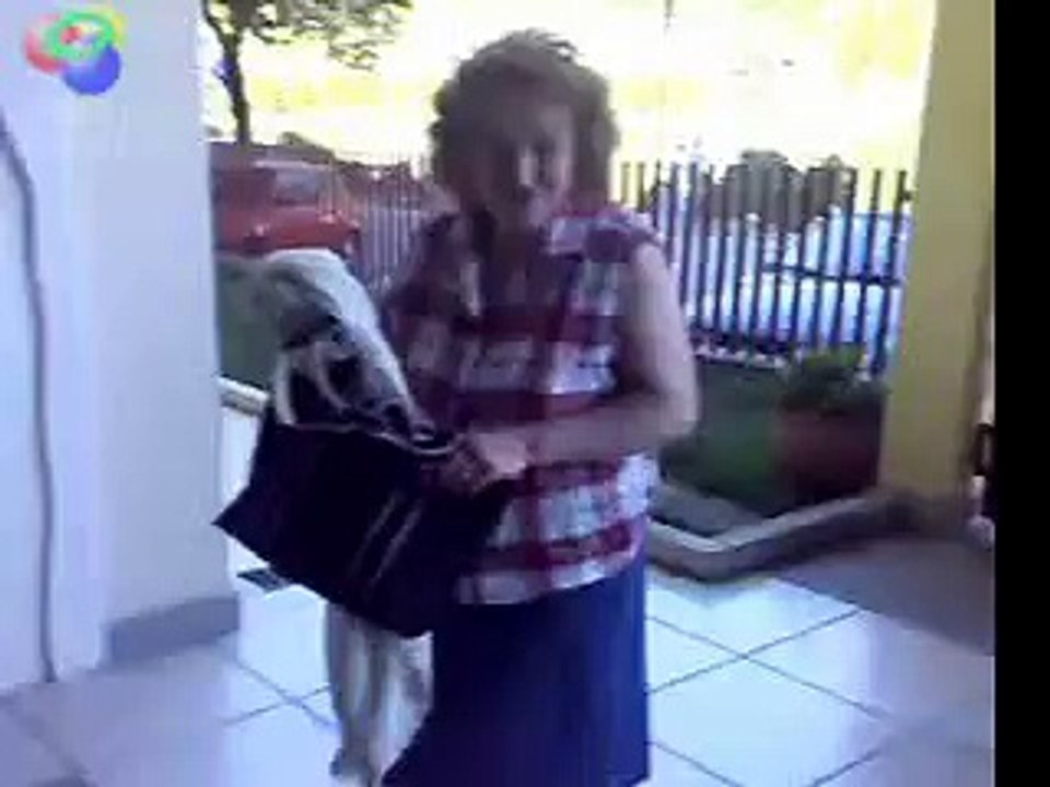 Dog humping a old lady