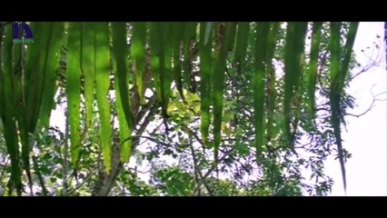 Rathinirvedam Telugu Full Movie Part 6 __ Shwetha Menon, Sreejith Vijay_Full-HD