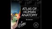 Atlas of Human Anatomy Including Student Consult Interactive Ancillaries and Guides, 6e Netter Basic
