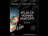 Atlas of Human Anatomy Including Student Consult Interactive Ancillaries and Guides, 6e Netter Basic