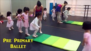 Wings to Wings Dance Development Centre: Child Ballet Classes