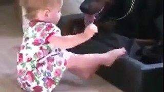 Best Funny Baby and Dog Videos 2015 Funny Videos videos