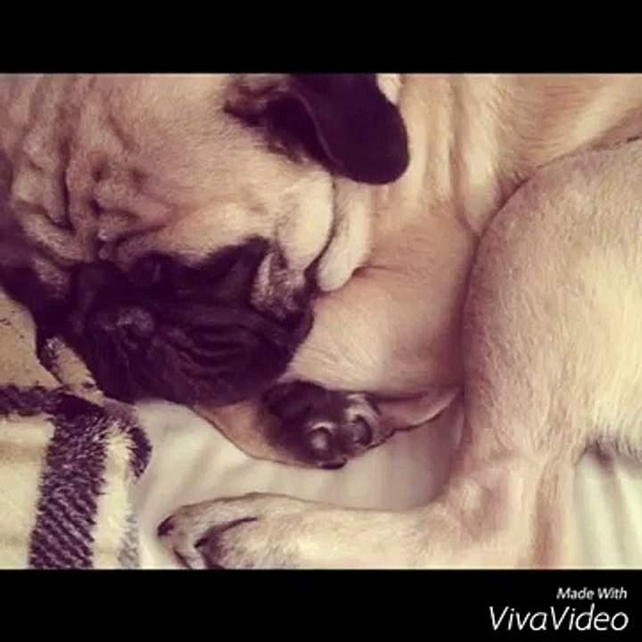 Winny and Otto for our Twitter Family