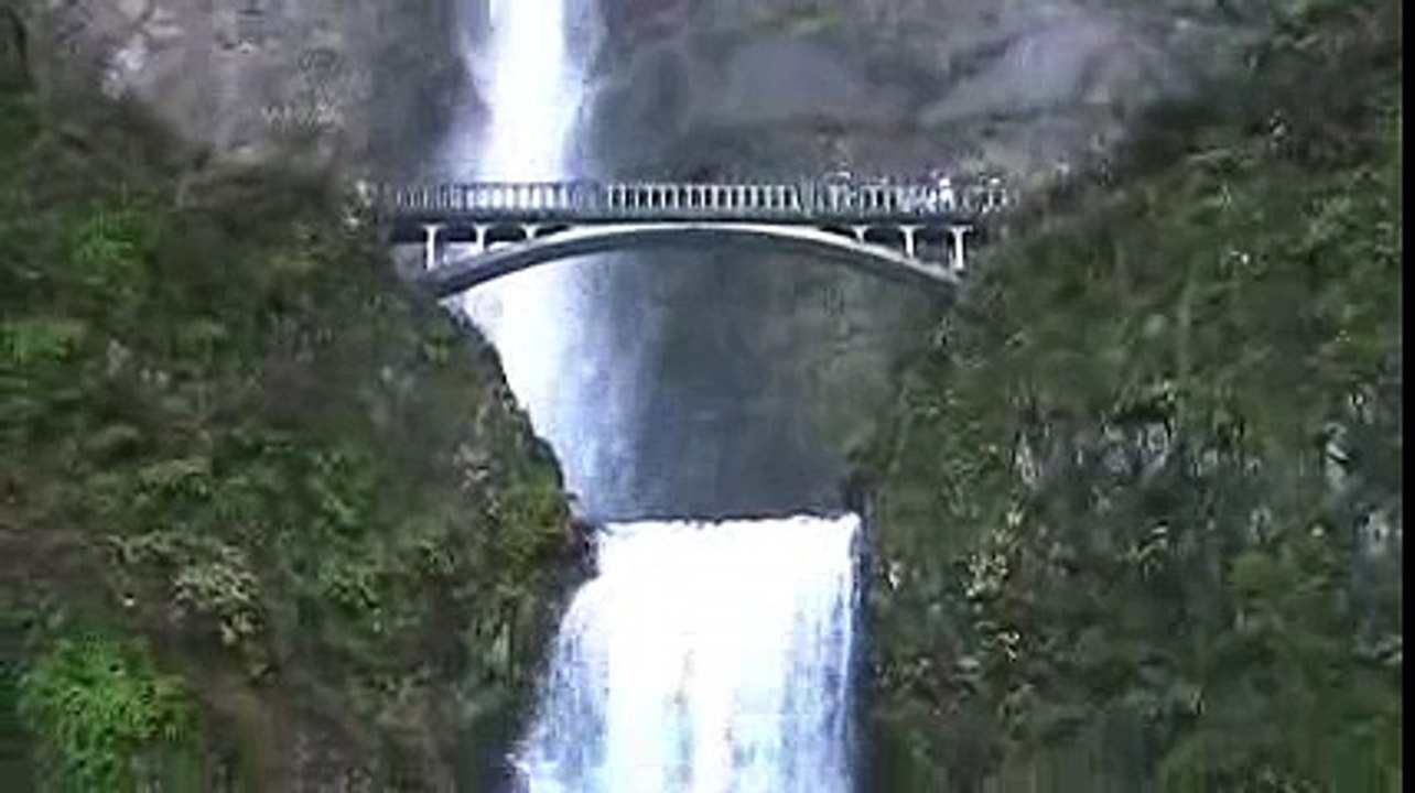 Multnomah Falls, salmon and bald eagle.
