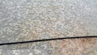 September HAIL Storm in Kentucky!