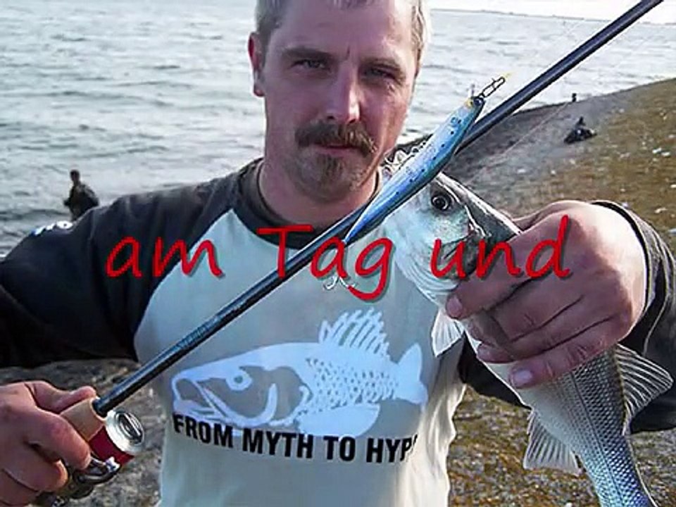 Auf Wolfsbarsch an der Oosterschelde