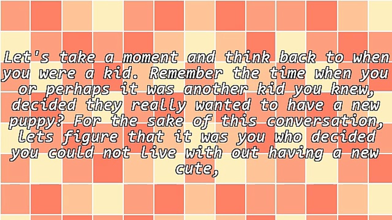 So, You Want to Get a New Puppy!