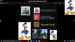 Donald Duck Endslate