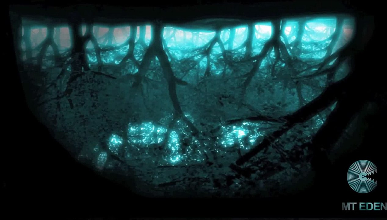 Craig Armstrong - Escape (MT EDEN Remix)