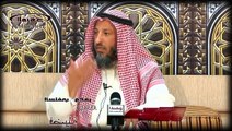 هل قرأ مفتي السعودية و غيره نظرية التطور قبل نطقهم بهذا الكلام