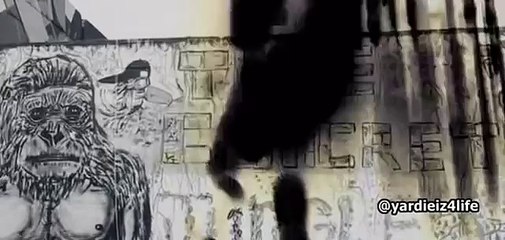 Fabolous Ft. Pusha T - Life Is So Exciting [Official Video]