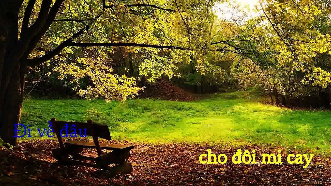 [Karaoke] Trước Biển Thở Dài - Nguyễn Đức