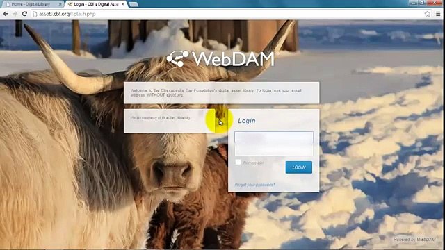 Digital Library: Uploading and Adding Metadata
