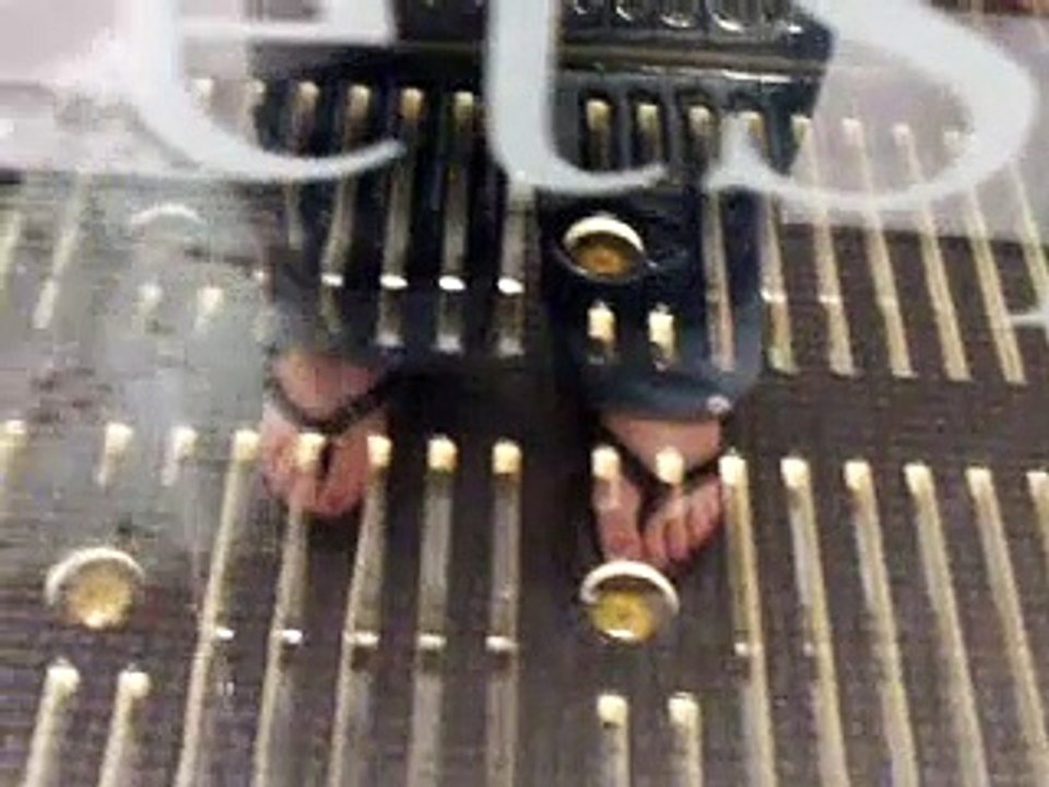 Tokolosh and the Pet Spa