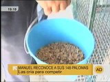 Palomas mensajeras siglo XXI