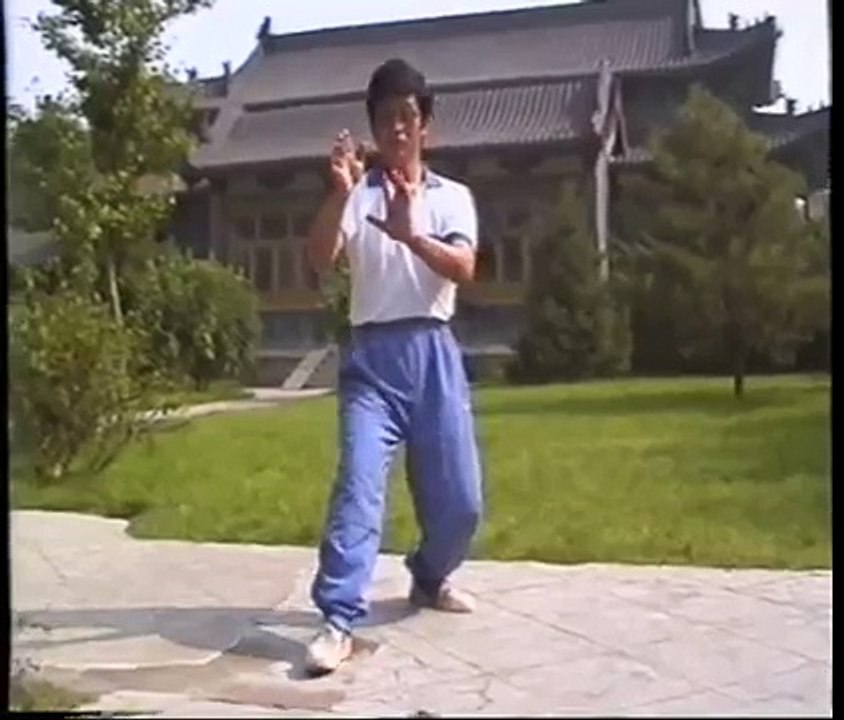 TAI CHI CHUAN - WANG XIN-WU STYLE