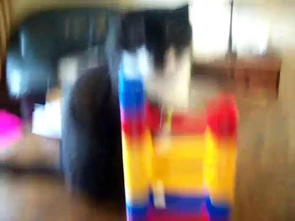 Lucky watches Marble run