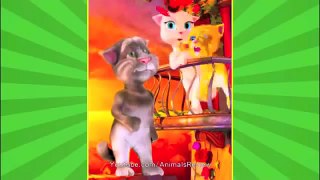 Supercats Episode 2 Cat Tom and Kitty Angela Funny Cartoon An