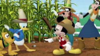 Winter Mickey Mouse Clubhouse Donald Duck Cartoons