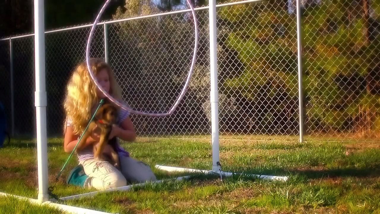 CritterKin - Preparing Kids for the Joys of Pet Ownership