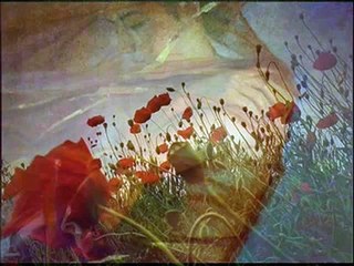 Nigel Kennedy & the Kroke Band - Jovano, Jovanke