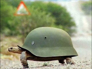 some funny ww2 german photos ! mien struggle for a something funny !