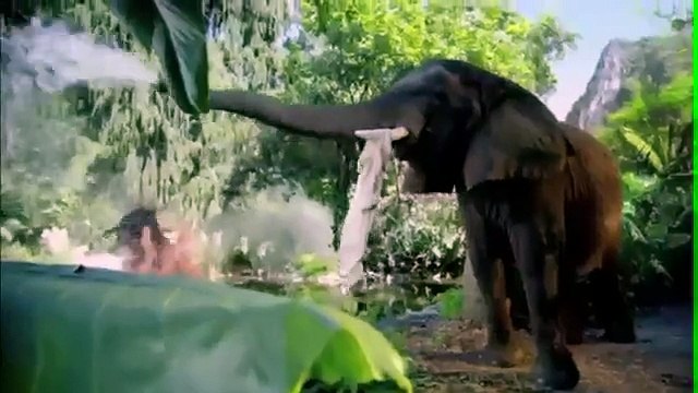 Мультфильмы для детей 2014, ВЕЛИКОЛЕПНЫЙ ЛЕС , мультфильмы, мультфильмы советские, маша и медведь