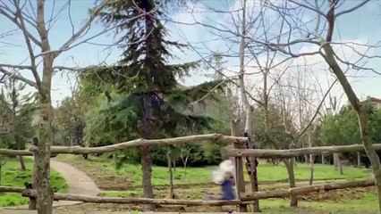 279 15 16..yenimahalle ŞENTEPE BOSCH KOMBİ SRV.