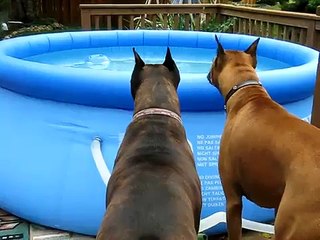 279 15 16..yenimahalle ŞENTEPE ROYAL KOMBİ SRV.