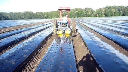 Plastic mulch hole punching