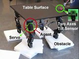 Programmable Self-Adaptation on Modular Robots
