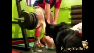 The Ultimate Fail,Win and Funny pranks Mega Compilation part 94 new 2015
