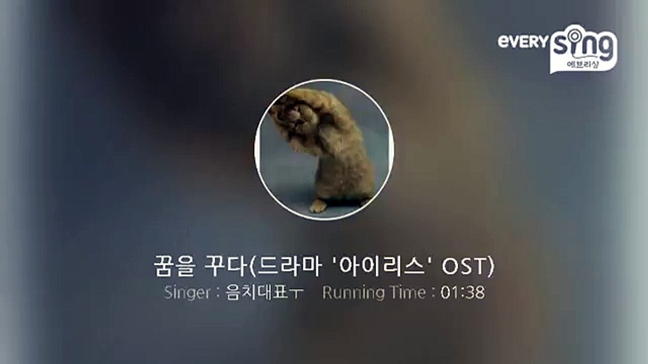 [everysing] 꿈을 꾸다(드라마 '아이리스' OST)