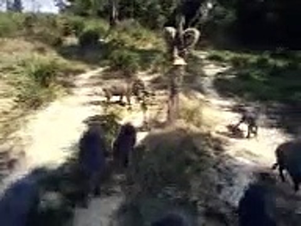 Foi mexer com  quem ta quieto !!!!