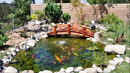 koi japanese cuisine clovis ca