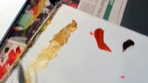LifeART Studio demonstration: How to use YELLOW OCHRE, BURNT SIENNA, BURNT UMBER to mix skin tones.