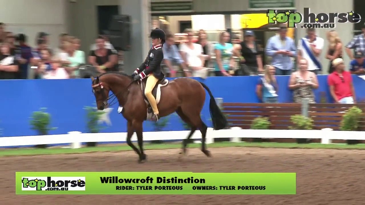 www.tophorse.com.au - Equestrian Australia Show Horse & Rider Championships - Large Pony