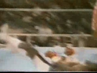 Boxe-myke tyson KO
