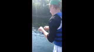 Rainbow Trout Video 2015