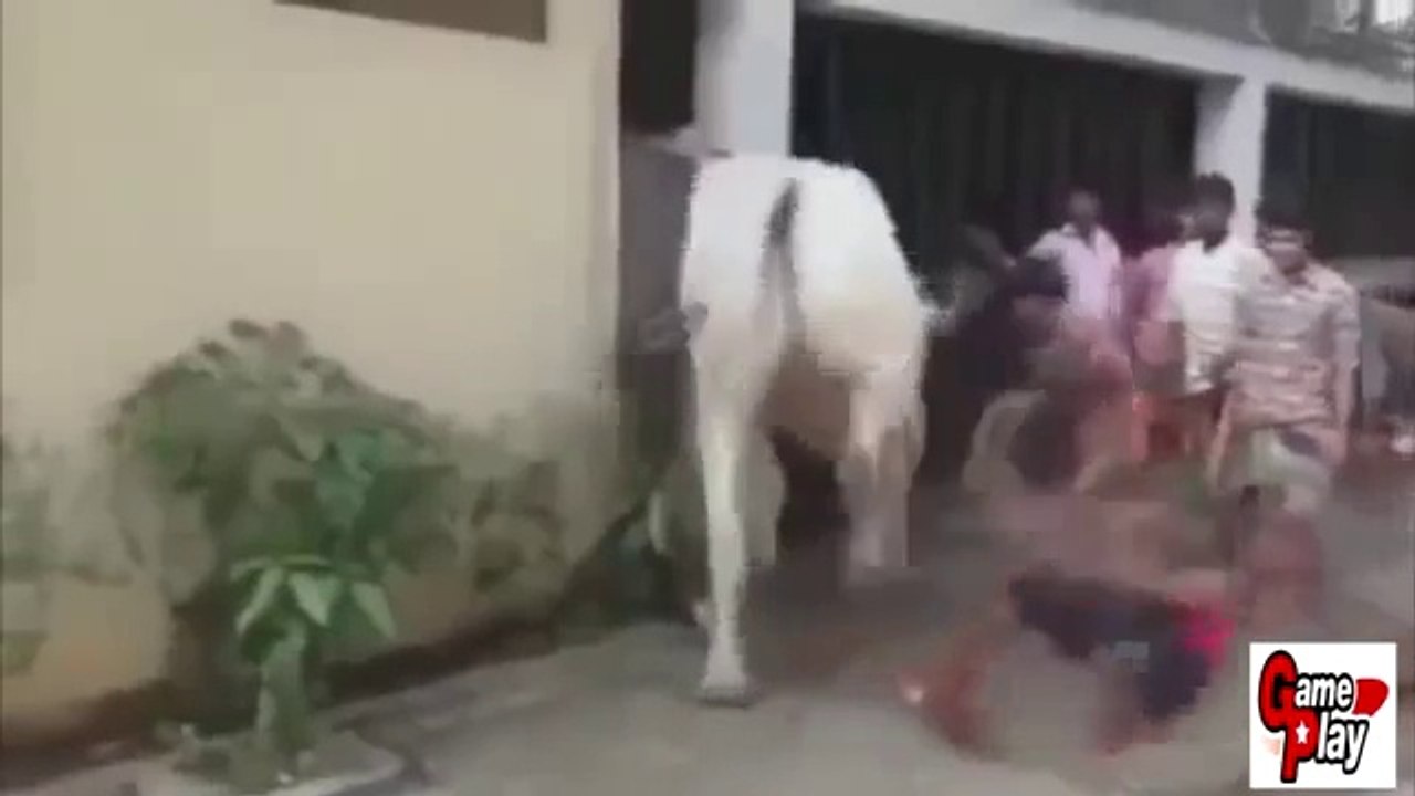 BEST EPIC FAILS   WIN Compilation   BEST FUNNY VIDEOS   FUNNY FAIL August 2015