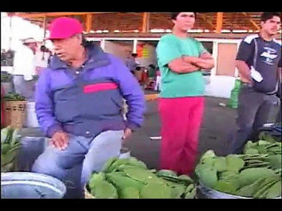 milpa alta