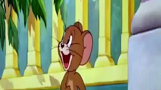 tom and jerry  12